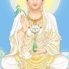 12人妖 大陸比賽俾人淘汰