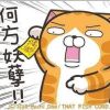 Happy伯摰愛娜娜