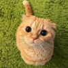 Harry Wisnu Murti