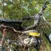 WongDusun
