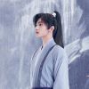 榕树杨