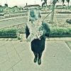 Singgih_pm. 