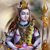 thayalan