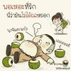 ข้าว ไข่เจียว