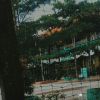 Arfa