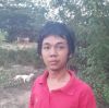 มอสนา เกี่ยวข้าว