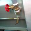 Jamien B Hasan Mienroses