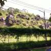 Diding Komarudin