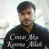 Alviansah Hasbi Ahmad