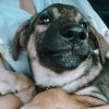 ไม่สำคัญ อะไร