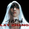 LAY•FLAWED CROWN