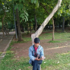 Simalatupang