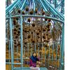 AsihDarsih