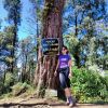 Maria Tobing