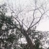 Ahmad_Fikri