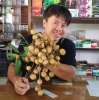 วิเชียร ปินต๊ะวะนา
