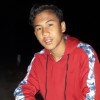 sanef