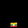 ပန်းရိုင်း နှင်းဆီ