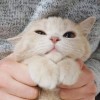 นิว