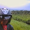 Bambang Pari Sukonandi