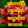 ခ်စ္မမရဲ့ ေမာင္ေလး