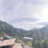 Sayhi