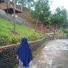 Yuli Umina Shishasha