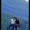 Amel
