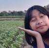 ฟาง ฟาง ชลาธาร