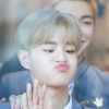 Bon Jo Vie Aon