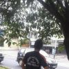Krisna Shiringoringo