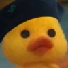 Dollb
