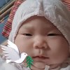 Ardi Hadut