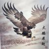 吴钜鹏