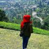 Adienda Vidy