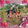 Hardiansyah Hardiansyah