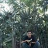 Bang Yudhy