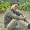 e.hidayat