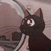 sissel