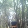 Doseng Jaelani