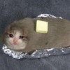 Ecake