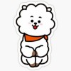 RJ 