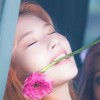 샤파