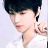 Xin Ting Tiang