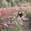 Mpp Pim