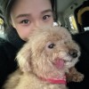 Fiona Chou