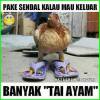 Djunaedi Jun