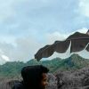 Ammar Haris Fdk