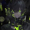 D-rakun