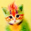 King Cat